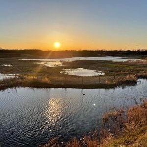 Meet your Posher, Kenya